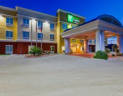 Holiday Inn Express Hotel & Suites Alpine Southeas Genel