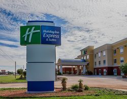 Holiday Inn Express Hotel & Suites Alpine Southeas Genel