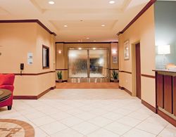 Holiday Inn Express Suites Amarillo South Genel