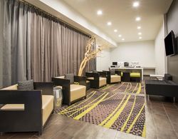 Holiday Inn Express Hotel & Suites Amarillo West Lobi