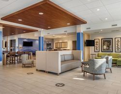 Holiday Inn Express & Suites Carlisle Southwest – I-81, an IHG Hotel Genel