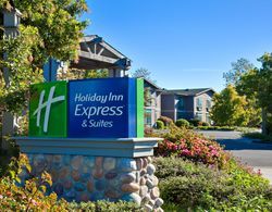 Holiday Inn Express Hotel & Suites Carpinteria  Genel