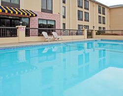 Holiday Inn Express Hotel & Suites Charlotte Airpo Havuz