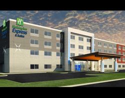 Holiday Inn Express & Suites Dearborn SW - Detroit Area, an IHG Hotel Öne Çıkan Resim