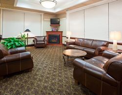 Holiday Inn Express Hotel & Suites Downtown Minneapolis Genel
