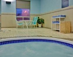 Holiday Inn Express & Suites Edmonton South Havuz