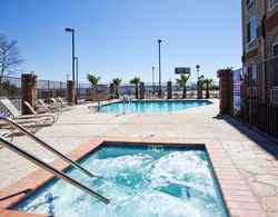 Holiday Inn Express Hotel & Suites Fresno South Havuz
