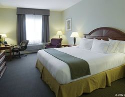 Holiday Inn Express Hotel & Suites Genel