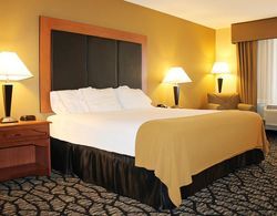 Holiday Inn Express Hotel & Suites Grand Junction Genel