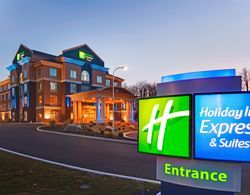Holiday Inn Express Hotel & Suites Hamburg Genel
