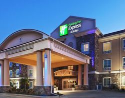 Holiday Inn Express Hotel & Suites Jacksonville Genel