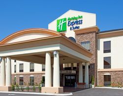 Holiday Inn Express Hotel & Suites Knoxville-Farra Genel