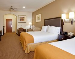 Holiday Inn Express Hotel & Suites La Porte Genel