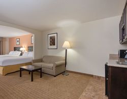 Holiday Inn Express & Suites Lafayette East Genel