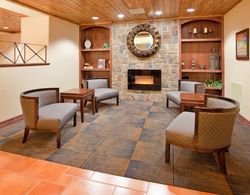 Holiday Inn Express & Suites Las Cruces North, an IHG Hotel Genel