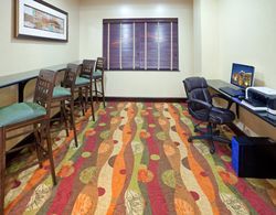Holiday Inn Express Hotel & Suites Lubbock West Genel