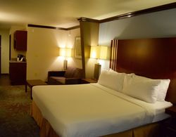 Holiday Inn Express Hotel & Suites NEAR SEAWORLD Genel