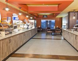 Holiday Inn Express & Suites Olive Branch Yeme / İçme