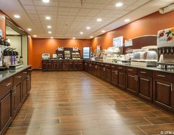 Holiday Inn Express Hotel & Suites Rapid City Genel