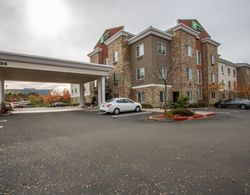 Holiday Inn Express Hotel & Suites Roseville - Gal Genel