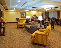Holiday Inn Express Hotel & Suites Tappahannock Yeme / İçme