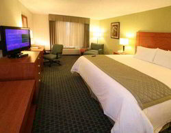 Holiday Inn Express & Suites Toluca Zona Aeropuert Oda