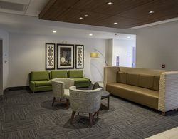 Holiday Inn Express & Suites Tonawanda - Buffalo Area, an IHG Hotel Genel