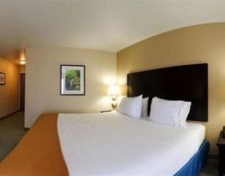 Holiday Inn Express Waterloo Cedar Falls Genel