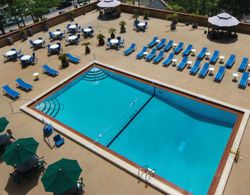Holiday Inn Gainesville-University CTR  Havuz