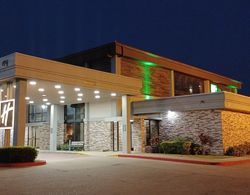 Holiday Inn McAllen – Medical Center Area, an IHG Hotel Dış Mekan