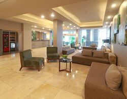 Holiday Inn Reynosa-Industrial Poniente Genel