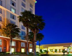 Holiday Inn & Suites Across from Universal Orlando Genel