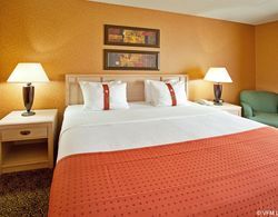 Holiday Inn Hotel & Suites Bolingbrook  Genel