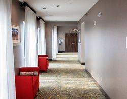 Holiday Inn Hotel & Suites Savannah Airport - Pooler, an IHG Hotel Genel