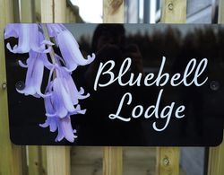 Hollicarrs - Bluebell Lodge Dış Mekan