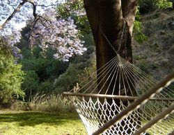 Hollywood Hills Canyon Breezes Dış Mekan