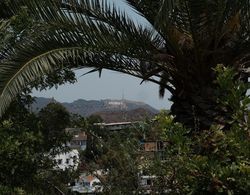 Hollywood Hills Hotel Dış Mekan