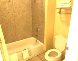 Homegate Inn and Suites Banyo Tipleri