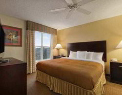 Homewood Suites by Hilton Austin-South/Airport Genel