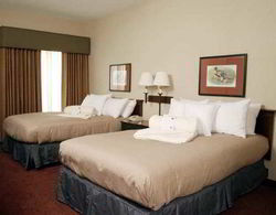 Homewood Suites by Hilton Baton Rouge Genel