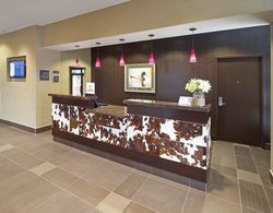 Homewood Suites by Hilton Calgary Airport Genel