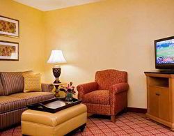Homewood Suites by Hilton Cambridge-Arlington Genel