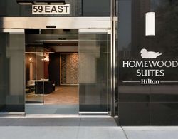 HOMEWOOD SUITES BY HILTON CHICAGO DOWNTOWN SOUTH L Genel