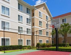 Homewood Suites by Hilton Gainesville Genel