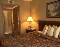 Homewood Suites by Hilton Houston-Clear Lake Genel