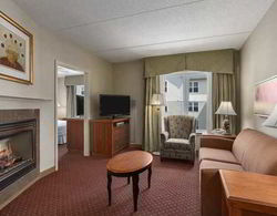 Homewood Suites by Hilton Reading  Genel