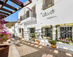 Hostal el Olivar Oda Manzaraları