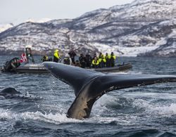 Hotell Maritim Skjervøy Genel