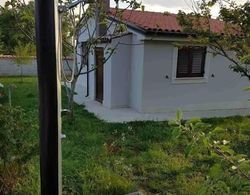 House 1319 Dış Mekan