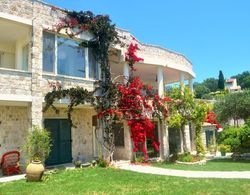 House Lemoni, Apartment A With Terracebalcony - Pelekas, Corfu Dış Mekan